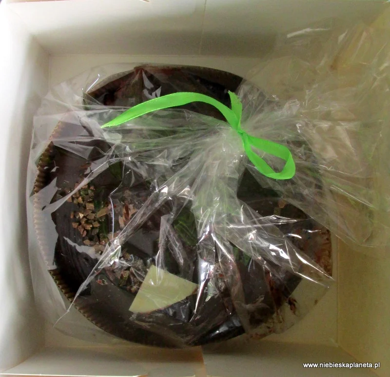 Tłusty Czwartek - pączki Tłusty Czwartek - pączki