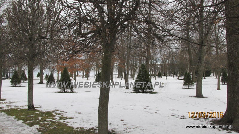 Park Peterhof