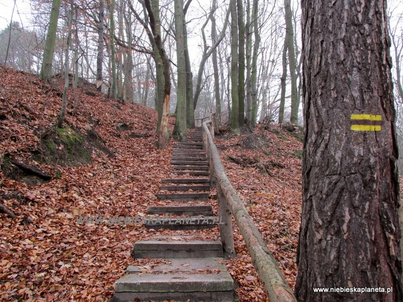 Schody do punktu widokowego Ścieżka do punktu widokowego na sopockie wybrzeże.