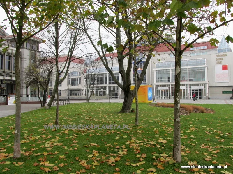 Dom Zdrojowy w Sopocie Dom Zdrojowy w Sopocie, na pierwszym planie platany