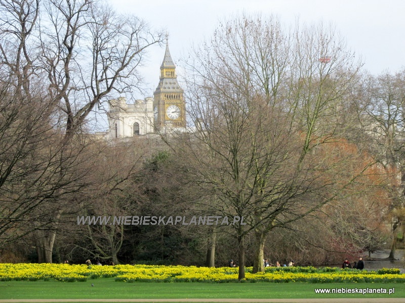 The James Park