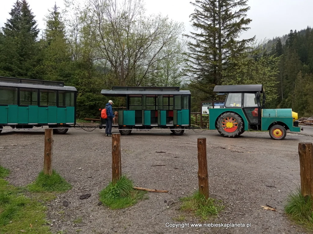 Kolejka w Dolinie Chochołowskiej cena Kolejka Rakoń w Dolinie Chochołowskiej