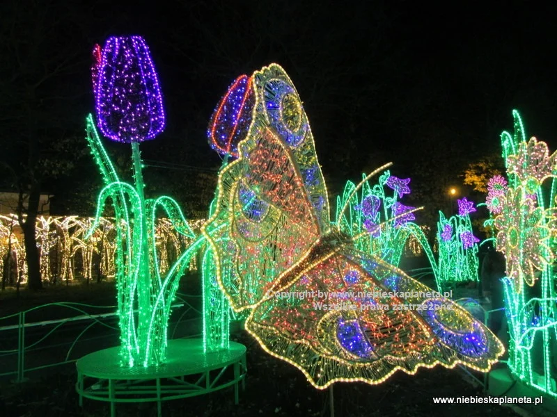 Królewski Ogród Światła w Wilanowie