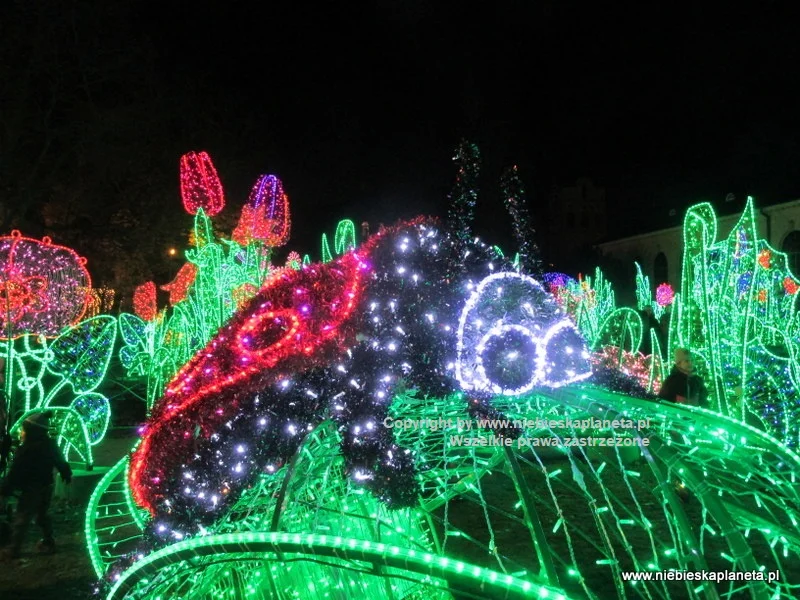 Królewski Ogród Światła w Wilanowie