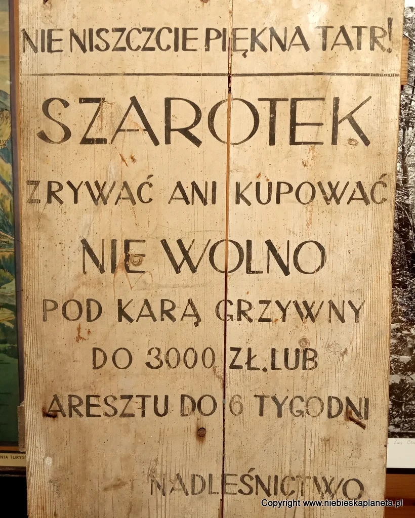 Ochrona Przyrody w Tatrach 