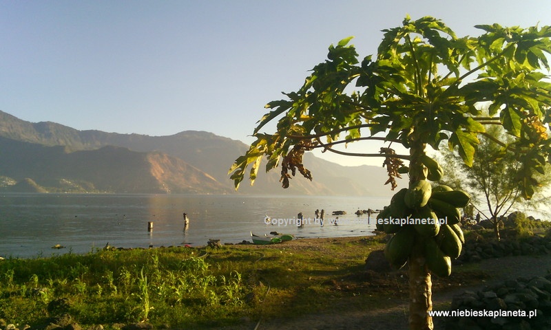 Papaja nad jeziorem Atitlan