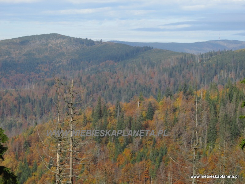 Panorama z punktu widokowego ze zbocza Baraniej Góry