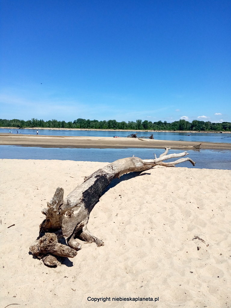 Plaża w Ciszycy nad Wisła pod Warszawą