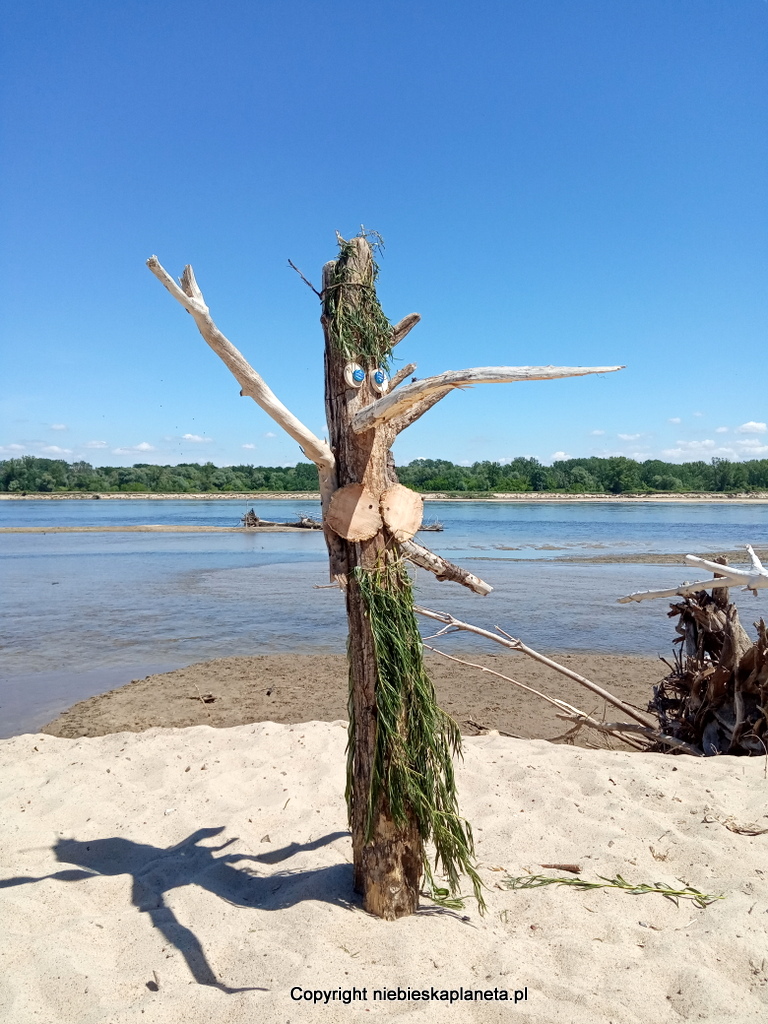 A beautiful, wide beach with golden sand in Ciszyca on the Vistula River near Warsaw