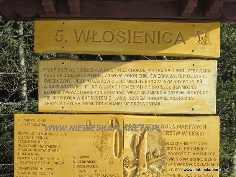Wlosienica - Tablica Informacyjna Włosienica