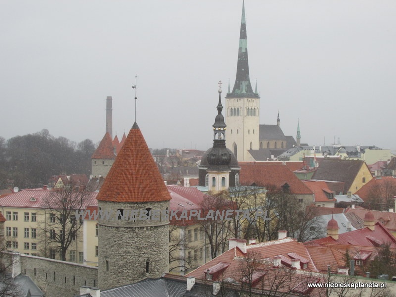 Tallin