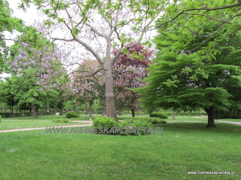 Wiedeń - Park Schonbrunn