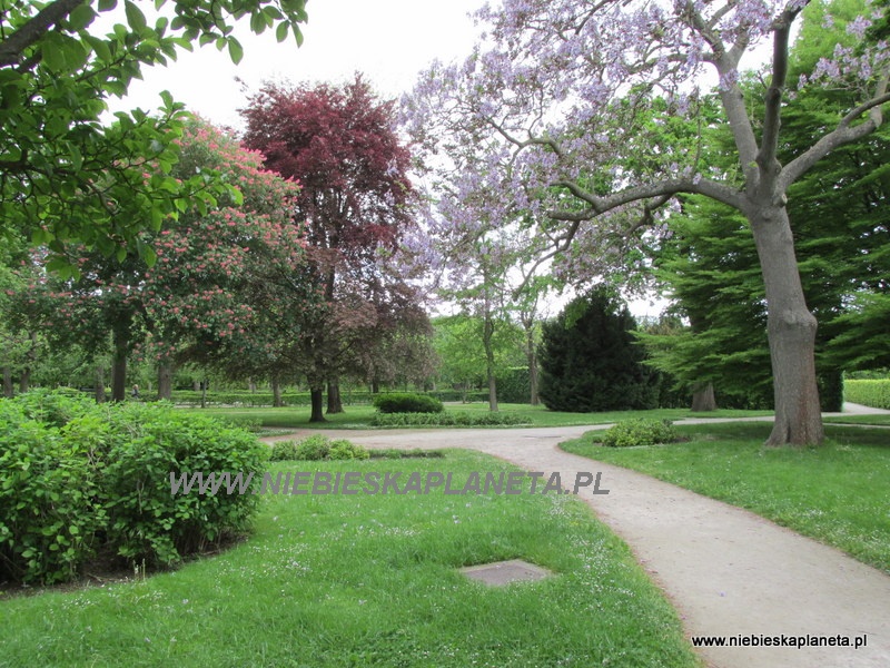 Wiedeń - Park Schonbrunn 