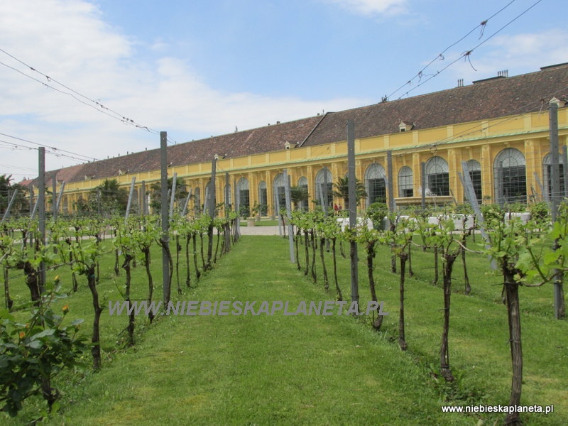 Oranżeria Schonbrunn 