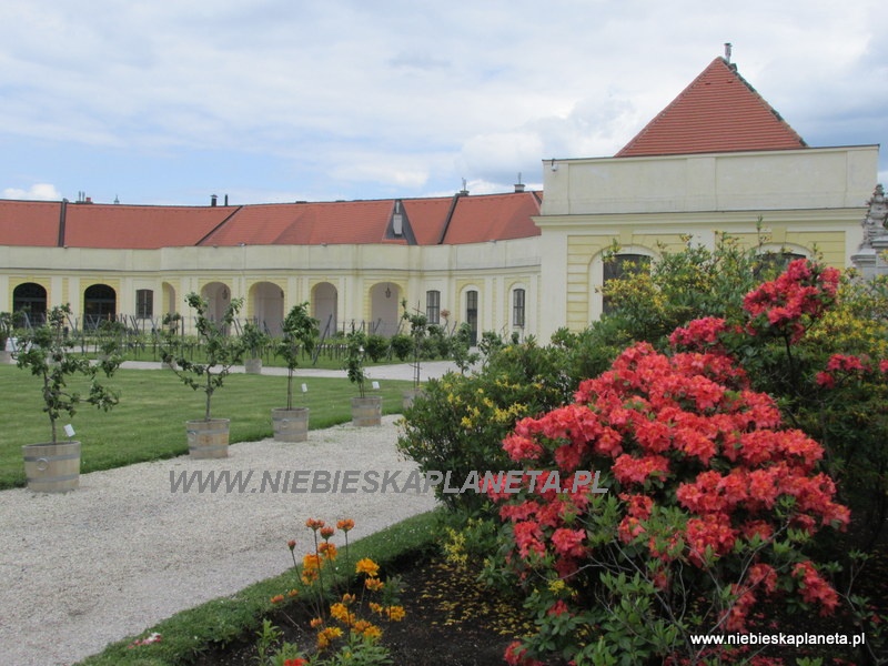 Schonbrunn - Ogród następcy tronu 